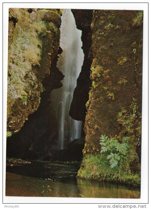 ISLANDE--Gljufrabui Waterfall Near The South Coast Of Iceland ,cpm N°158 éd Solarfilma S.f - Islande