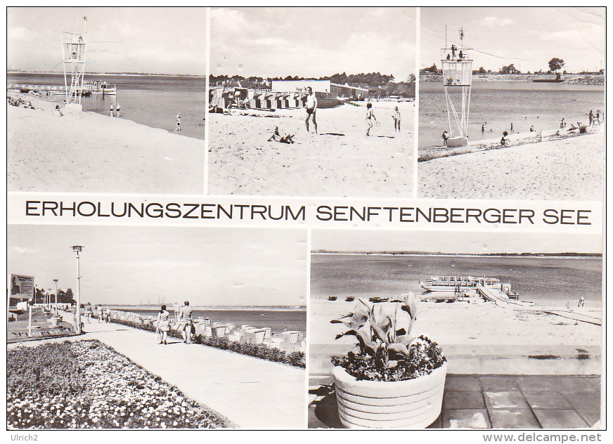 AK Erholungszentrum Senftenberger See - Mehrbildkarte - 1982 (17101) - Senftenberg