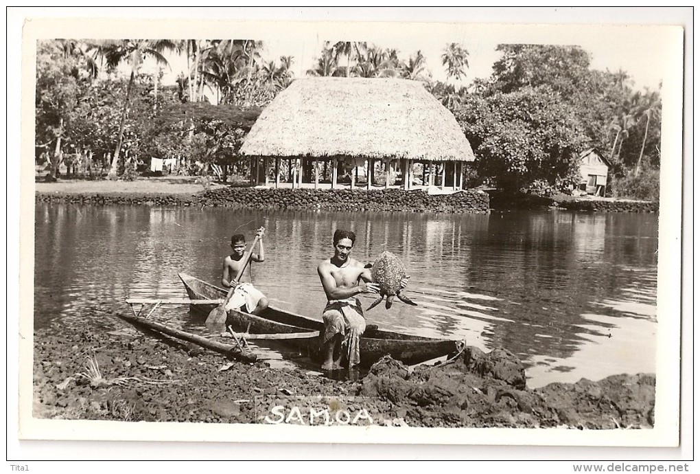 T883 - Samoa - "Tortue" " Turtle" - Samoa