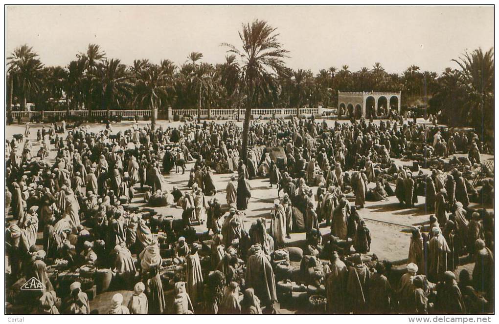 Marché Dans Le Sud - Alger