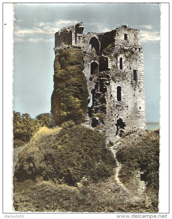 KERSAINT. Ruines Du Chateau De TRemarzan. Flamme - Kersaint-Plabennec