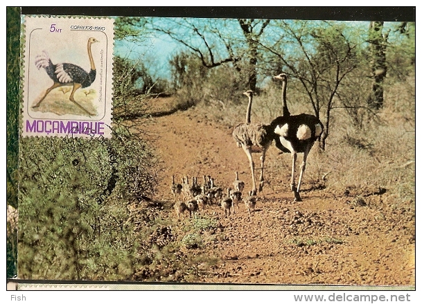 Mozambique & Postal Máximo, Aves De Moçambique, Avestruz  1981 (12) - Pernice, Quaglie