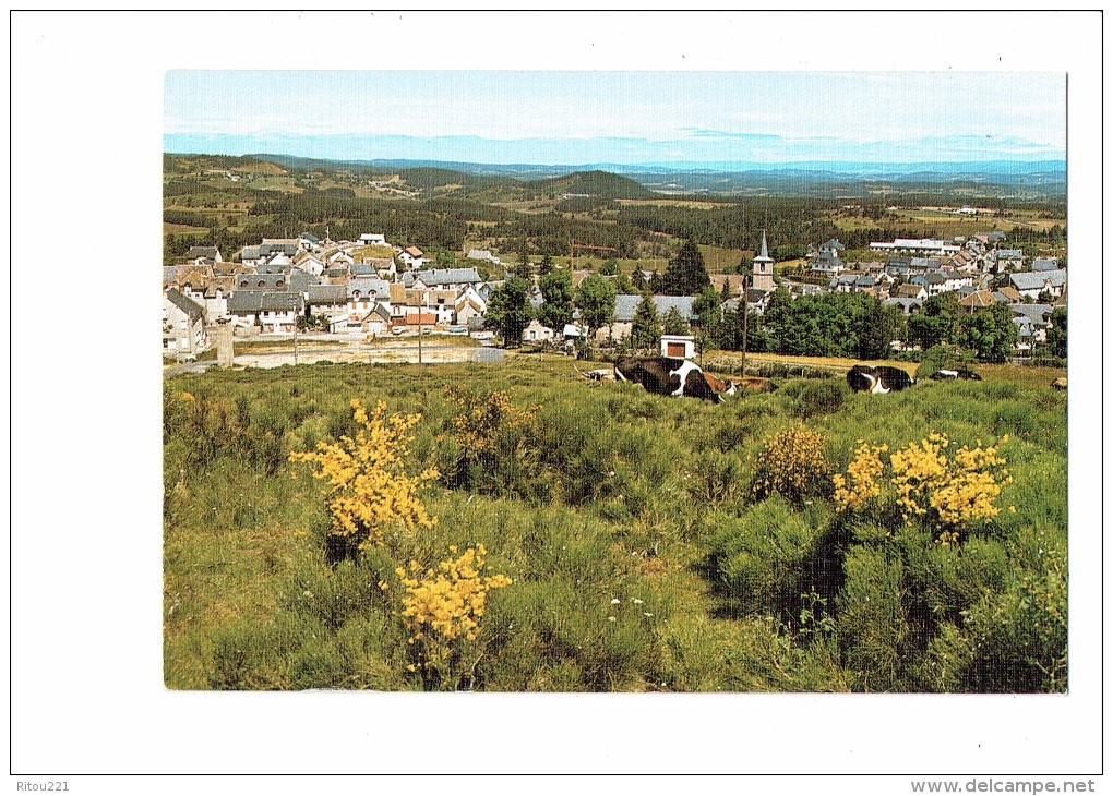 48 - Entre AUBRAC Et MARGERIDE - AUMONT-AUBRAC - Lozère - VUE GÉNÉRALE VILLAGE PRISE DU Sacré COEUR / Vaches Au Pré - Aumont Aubrac