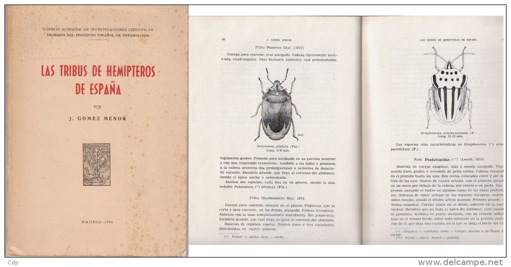 Las Tribus De Hemipteros De Espana   1956 - Culture