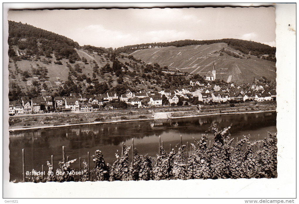 5583 ZELL - BRIEDEL, Ortsansicht, 1958 - Zell