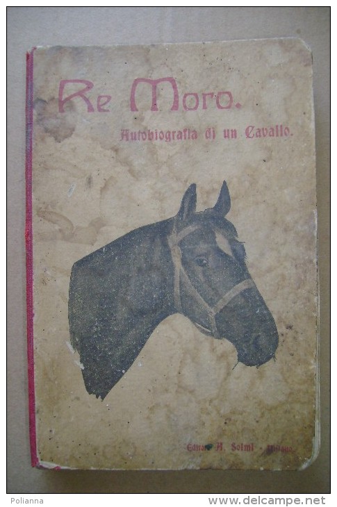 PCR/16 Casella RE MORO Autobiografia Di Un Cavallo Ed.Solmi 1929/ippica/illustrazioni Di Giuseppe Rondini - Antichi