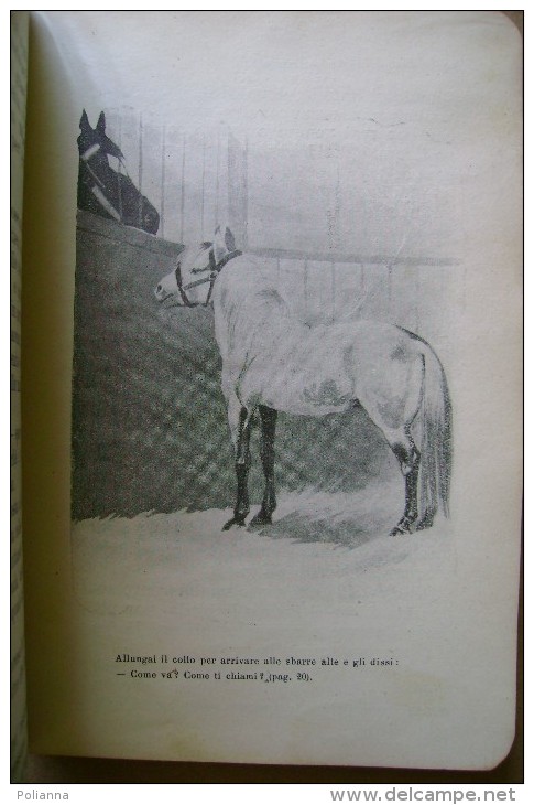 PCR/16 Casella RE MORO Autobiografia Di Un Cavallo Ed.Solmi 1929/ippica/illustrazioni Di Giuseppe Rondini - Oud