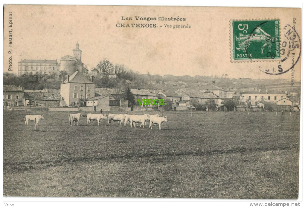 Carte Postale Ancienne De CHATENOIS – VUE GENERALE - Chatenois