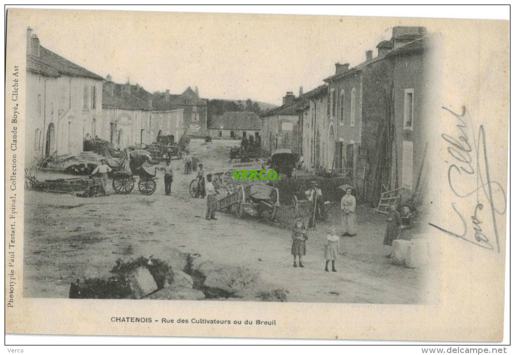 Carte Postale Ancienne De CHATENOIS – RUE DES CULTIVATEURS OU DU BREUIL - Chatenois