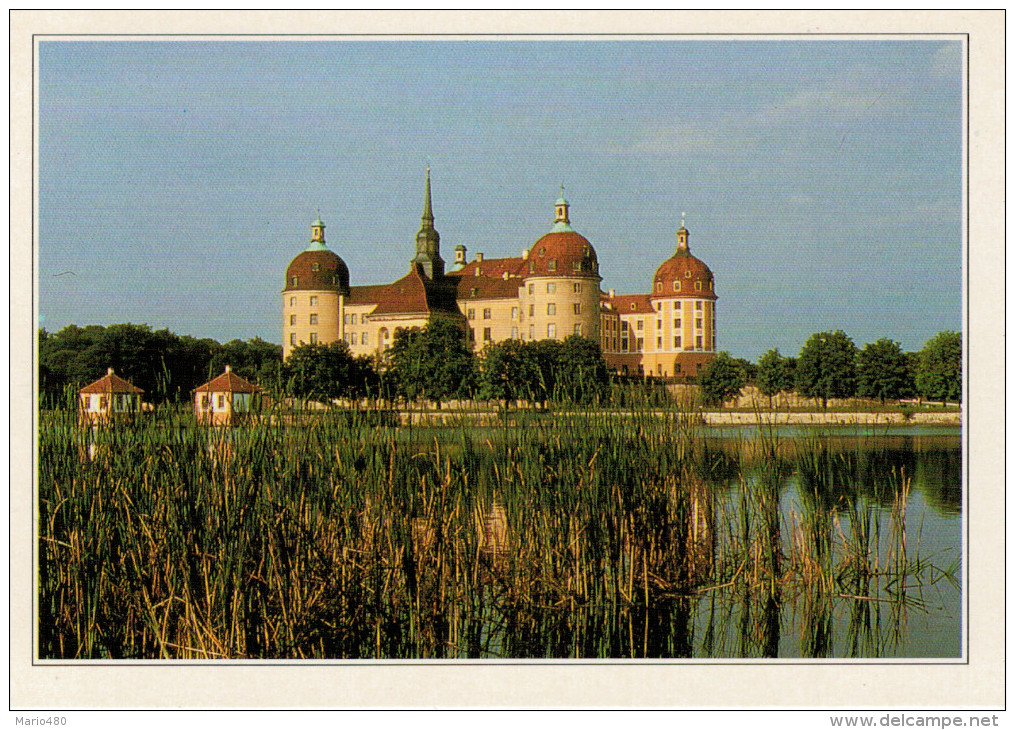 MORITZBURG:   IL  CASTELLO  RINASCIMENTALE        (NUOVA CON DESCRIZIONE DEL SITO SUL RETRO) - Moritzburg