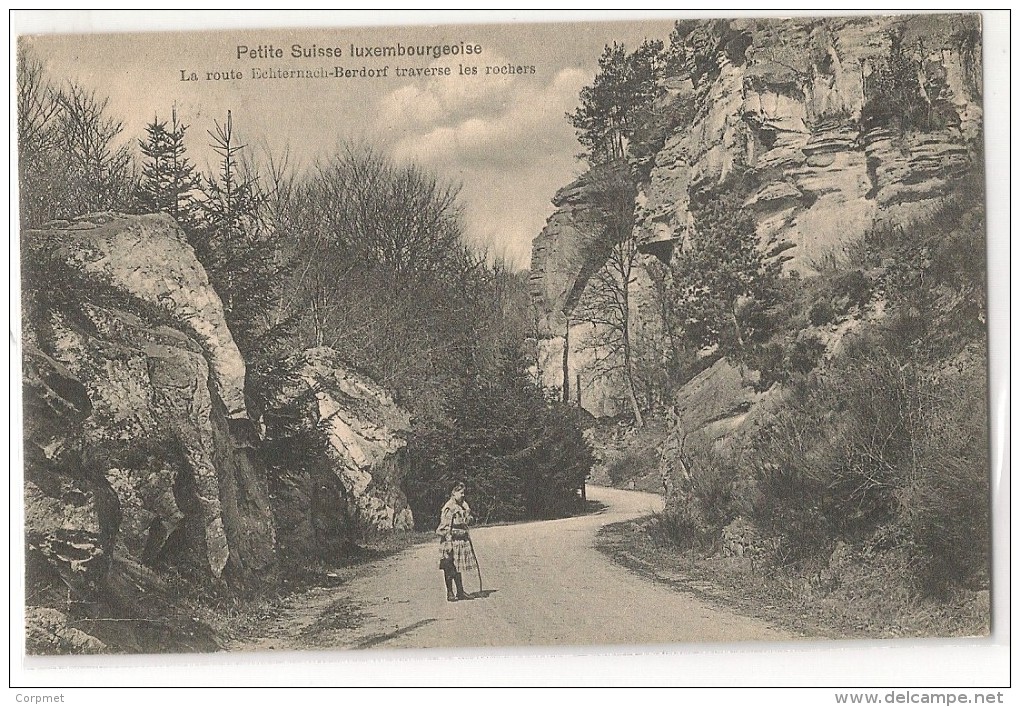 LUXEMBOURG - Petite Suisse Luxembourgeoise - Route Echternach-Berdorf - Vf 1913 POSTCARD To ANTWERPEN - Hotel Scharff AD - Berdorf