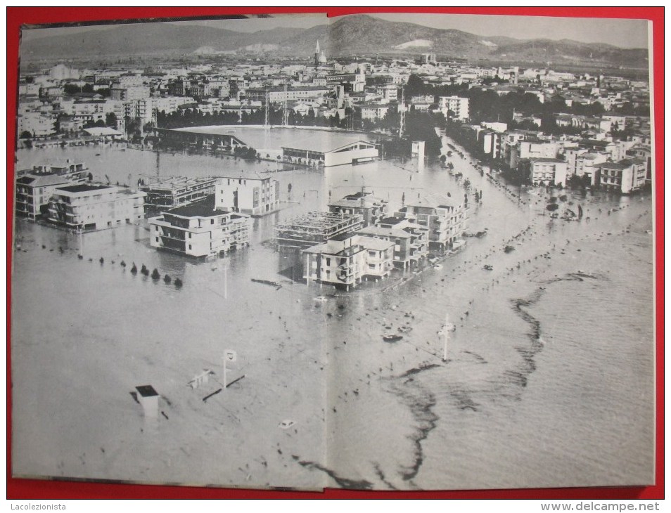 A  A2017   LIBRO L´ALLUVIONE DI GROSSETO DEL 1966 EDIZIONE ERREPI LUCIANO BIANCIARDI PILADE ROTELLA - Lotti E Collezioni