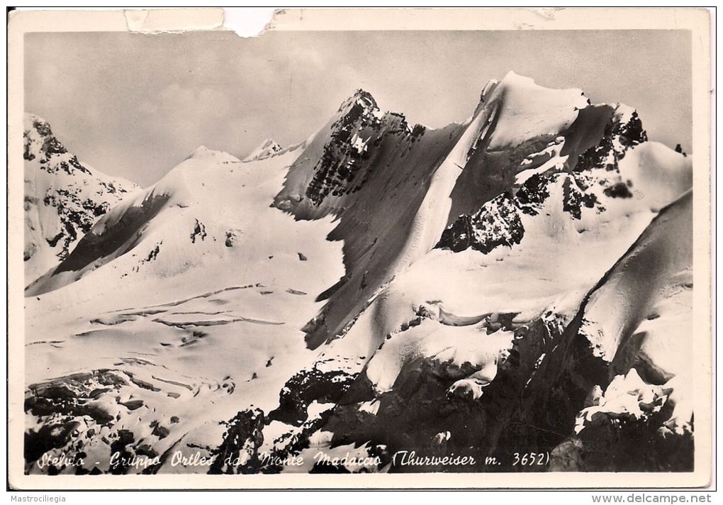 ALPINISMO  Gruppo Ortles  Timbro CAI Sez. Milano  Fg - Escalada