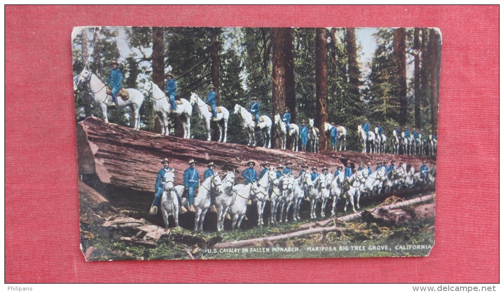 US Cavalry On Fallen Monarch Mariposa Big Tree Grove - California> -      - - 1899 - Other & Unclassified