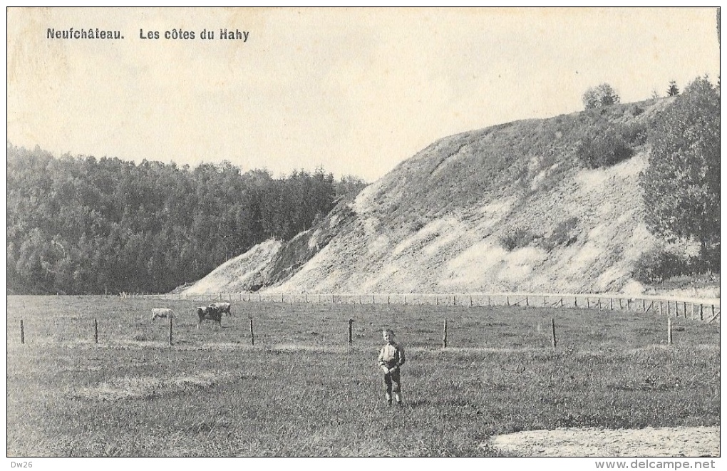 Neufchâteau - Les Côtes Du Hahy - Edition Lallemand - Carte Colorisée, Non Circulée - Neufchateau