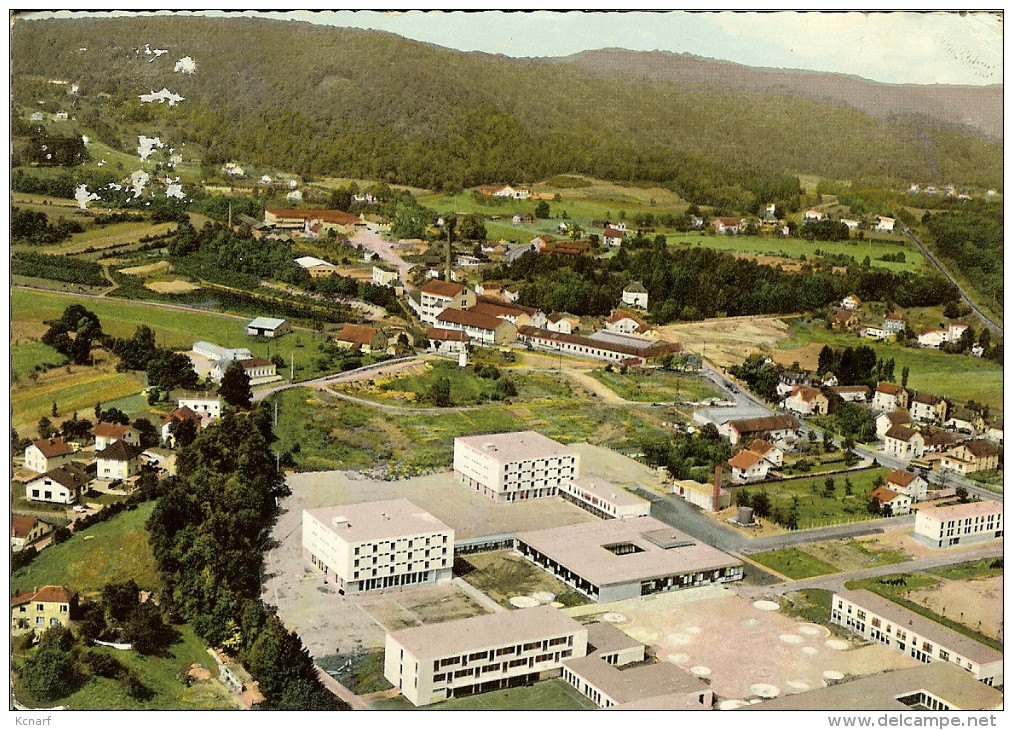 CP De REMIREMONT " Vue Aérienne Collège BECHAMP " - Remiremont