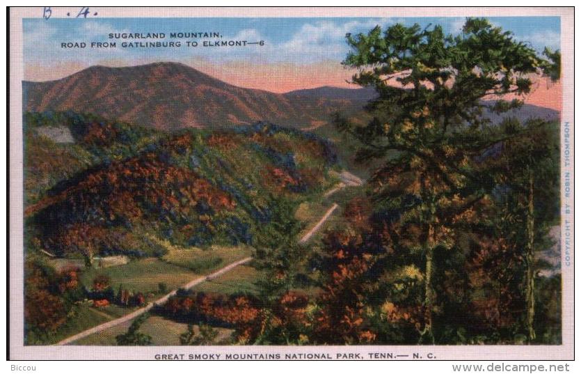 POST CARD SUGARLAND MOUNTAIN, ROAD FROM GATLINBURG TO ELKMONT, TENNESSEE - Smokey Mountains