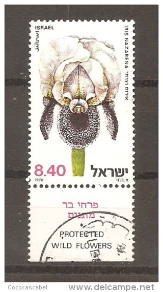 Israel. Nº Yvert  726-tab (usado) (o) - Gebraucht (mit Tabs)