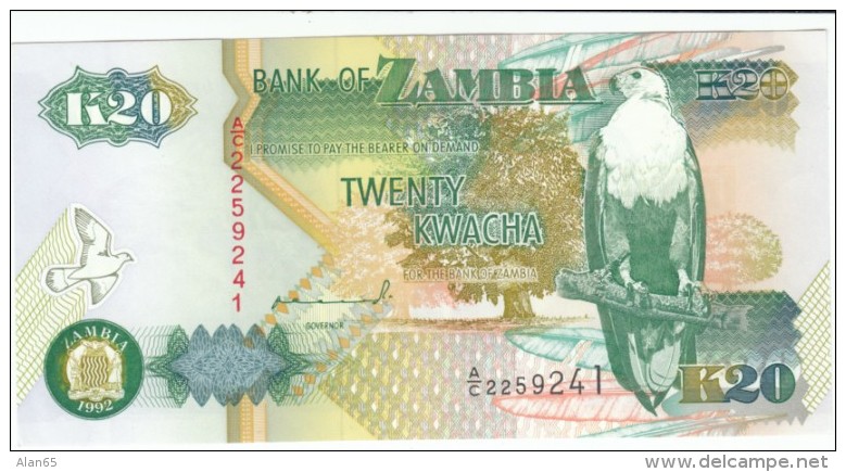 Zambia #36a 20 Kwacha, 1992 Banknote Currency Money, Bird - Zambia