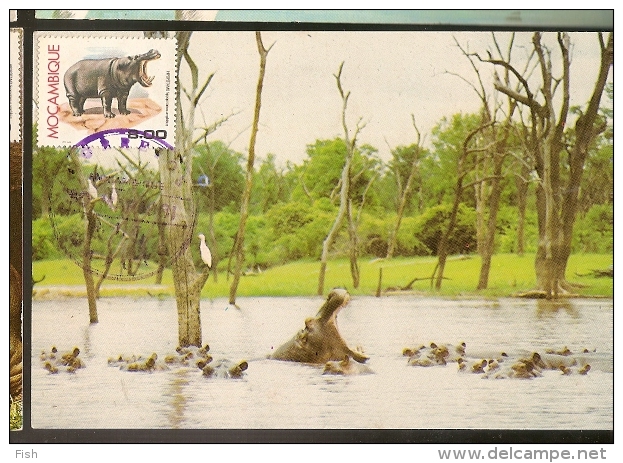 Moçambique & Postal Máximo, Animais Protegidos Hipopótamo 1981 (4) - Hippopotames