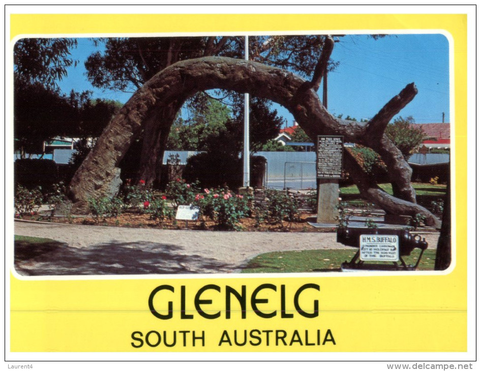 (PH 200) Australia - SA - Glenelg Old Gum Tree - Arbres