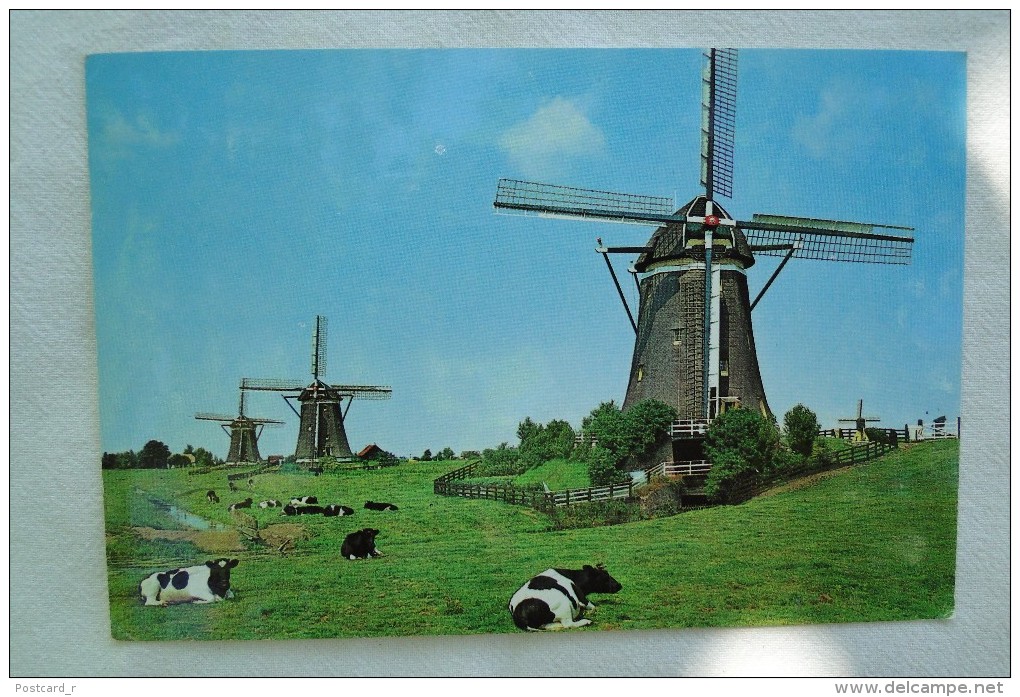 Netherlands Leidschendam Holland Buurtschap Wilsveen Hamlet Of Wilsveen Stamp 1977 A 40 - Leidschendam