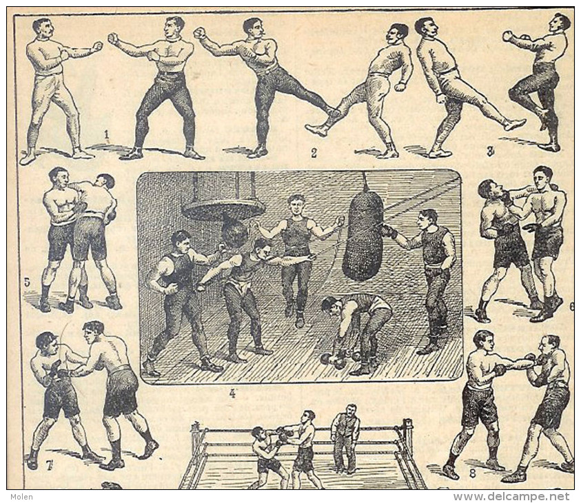 BOXE * Boksen  Boxing Boxeo Boxen * Gravure Engraving Gravierung Incisione Grabado Gravado   R315 - Autres & Non Classés