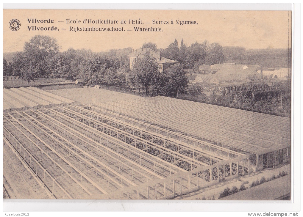 VILVOORDE : école D'Horticulture De L'état - Serres à Légumes - Vilvoorde