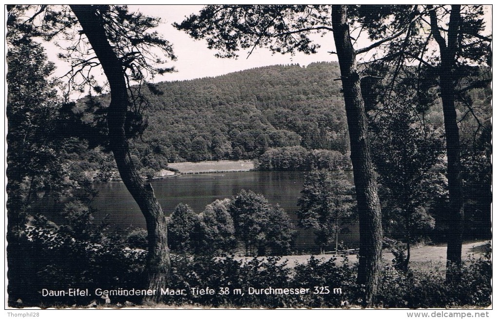 DAUN-EIFEL - Gemünder Maar Tiefe 38 M, Durchmesser 325 M - Circulé 1955, Petit Format, 2 Scans - Daun