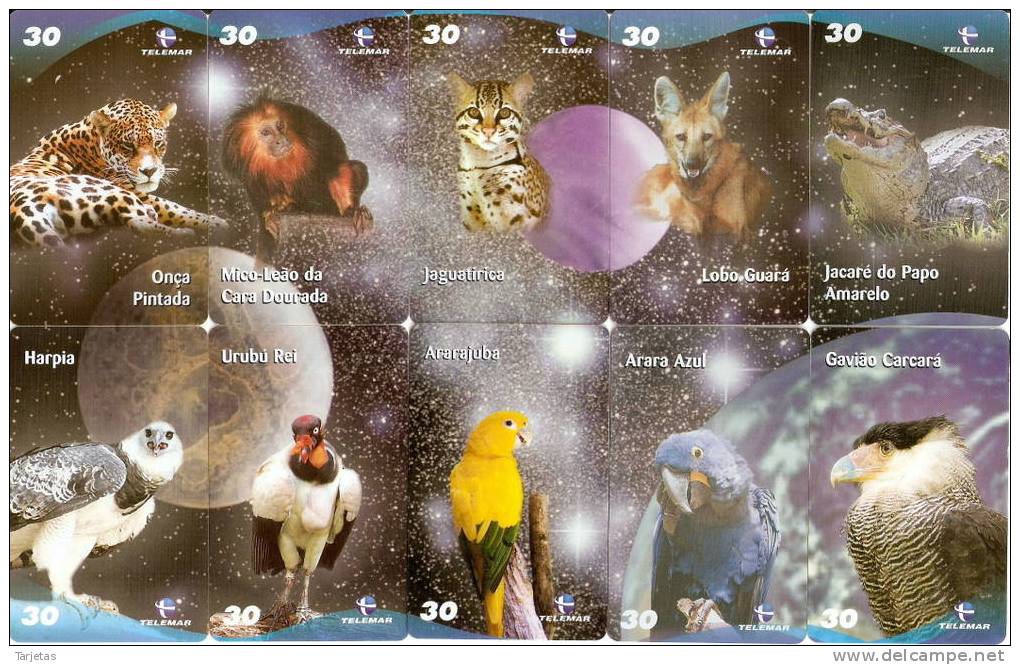 PUZZLE DE 10 TARJETAS DE BRASIL DE DIVERSOS ANIMALES (ANIMAL-PARROT-EAGLE-PLANETA-PLANET) - Rompecabezas