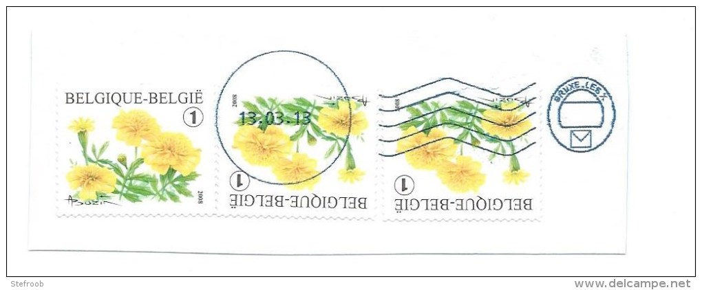 Bloemen BUZIN - Op Briefstuk - Mooie  Speciale Afstempeling - Used Stamps