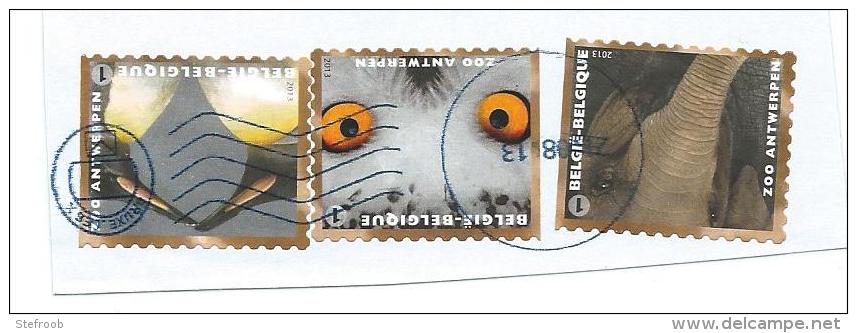 België 2013 ZOO ANTWERPEN - 3 Zegels Op Briefstuk - Mooie  Speciale Afstempeling - Used Stamps