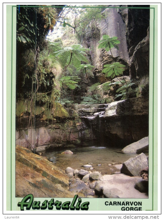 (257) Australia - QLD - Carnarvon Gorge - Far North Queensland