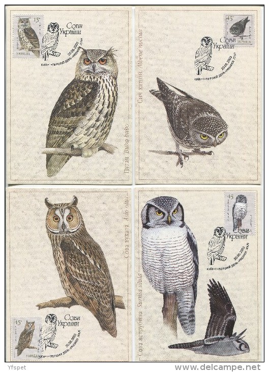 Owls Of Ukraine, Complete Set Of 12 MCs - Búhos, Lechuza