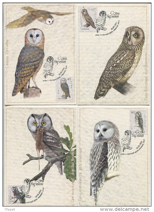 Owls Of Ukraine, Complete Set Of 12 MCs - Búhos, Lechuza