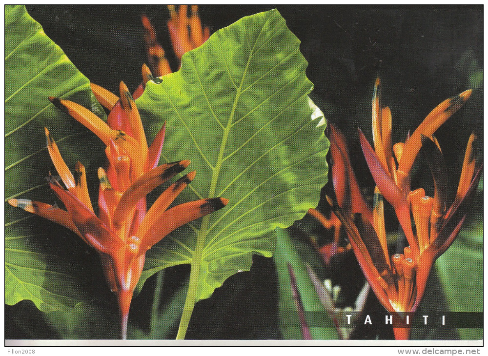 Oiseaux De Paradis, Fleurs De TAHITI - Birds Of Paradise - Flowers Of Tahiti - Polynésie Française