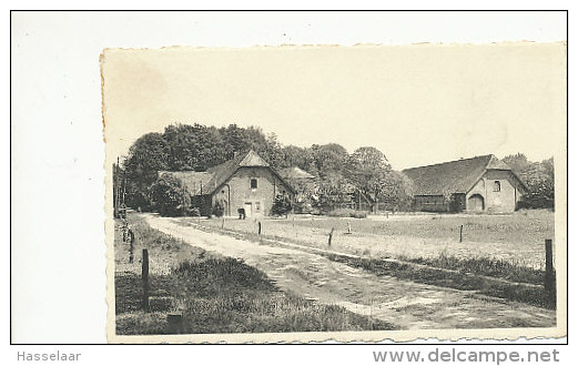 Westmalle - De Groote Hoeve - 1960 - Malle