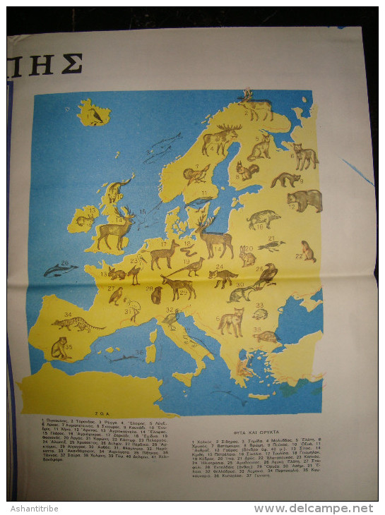 Greece old 1960s school student´s folding map of EUROPE geographical & political