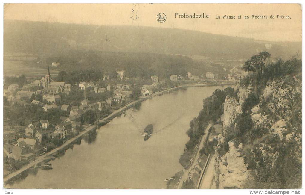 PROFONDEVILLE - La Meuse Et Les Rochers De Frênes - Profondeville