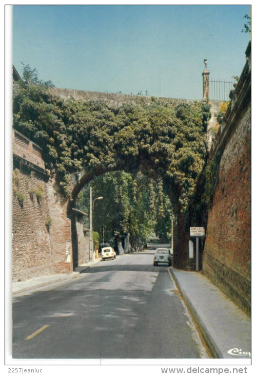 CPM - 82 -  Verdun Sur Garonne Le Pont De Miegeville - Verdun Sur Garonne