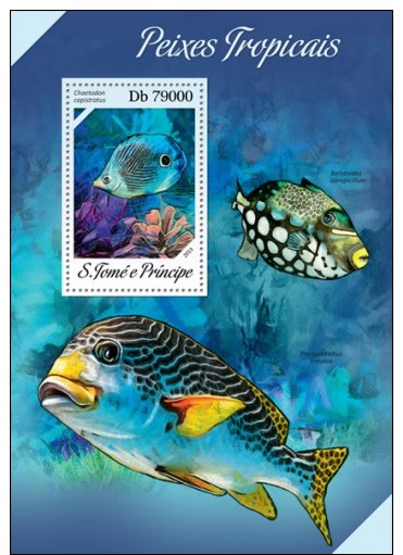 Z08 ST13610b Sao Tome And Principe 2013 Fishes MNH - São Tomé Und Príncipe