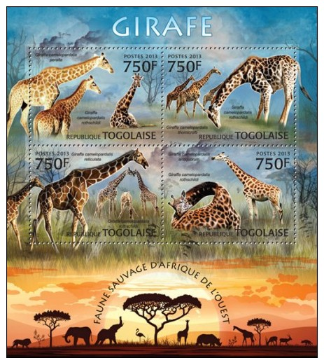 Z08 TG13220a TOGO 2013 Giraffe MNH Animals - Togo (1960-...)