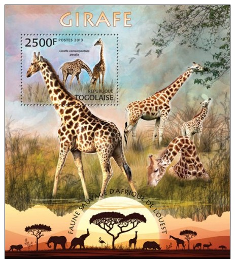 Z08 TG13220b TOGO 2013 Giraffe MNH Animals - Togo (1960-...)