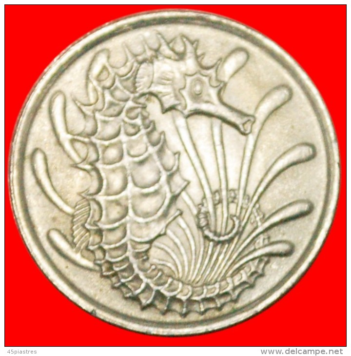 * SEAHORSE (1967-1985): SINGAPORE  10 CENTS 1982!  LOW STARTNO RESERVE! - Singapour