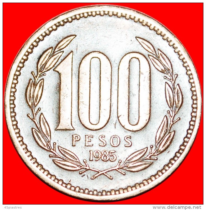 * CROWNED CONDOR: CHILE ★100 PESOS 1985!  LOW START ★ NO RESERVE! - Chili