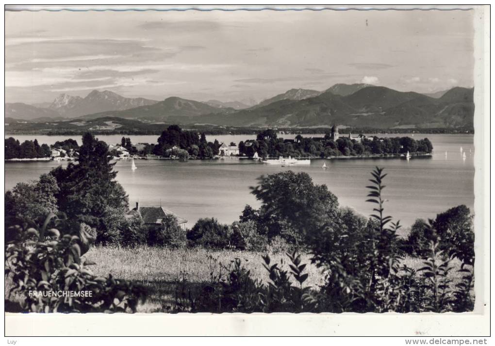 FRAUEN - CHIEMSEE -  Echte Foto Karte - Chiemgauer Alpen