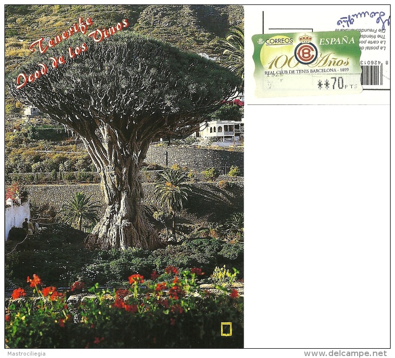 ESPAÑA  SPAGNA  TENERIFE  Icod De Los Vinos  Drago Milenario  Nice Stamp - Alberi