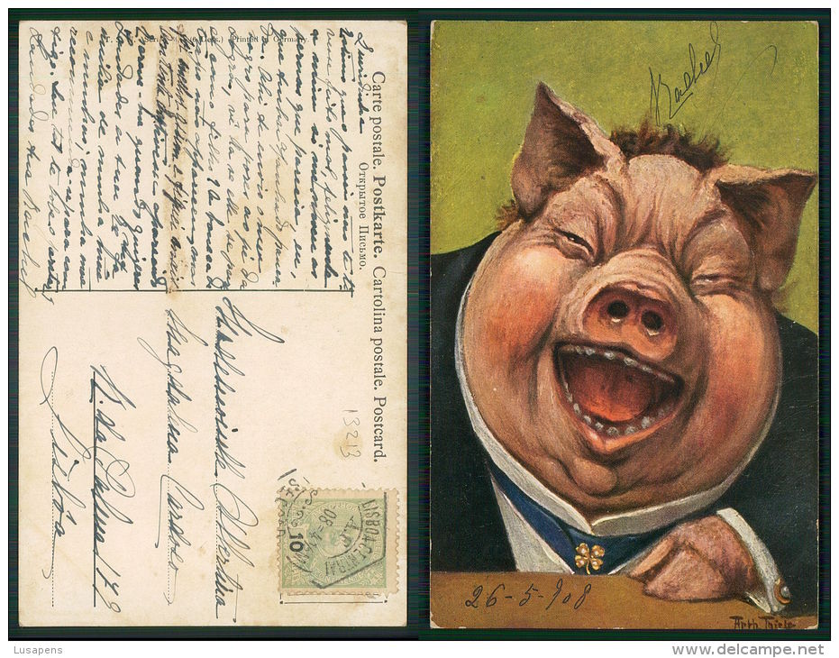 ARTIST SIGNÉE-  [OF #13213] -  Arthur Thiele - Portrait De Mr Cochon Hilare - PIG - Thiele, Arthur