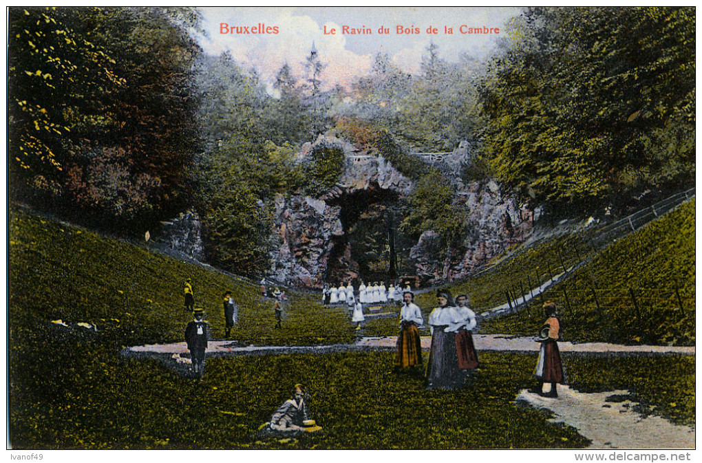 BELGIQUE - BRUXELLES - CPA - Le Ravin Du Bois De La Cambre - Vue Animée Colorisée - Forêts, Parcs, Jardins