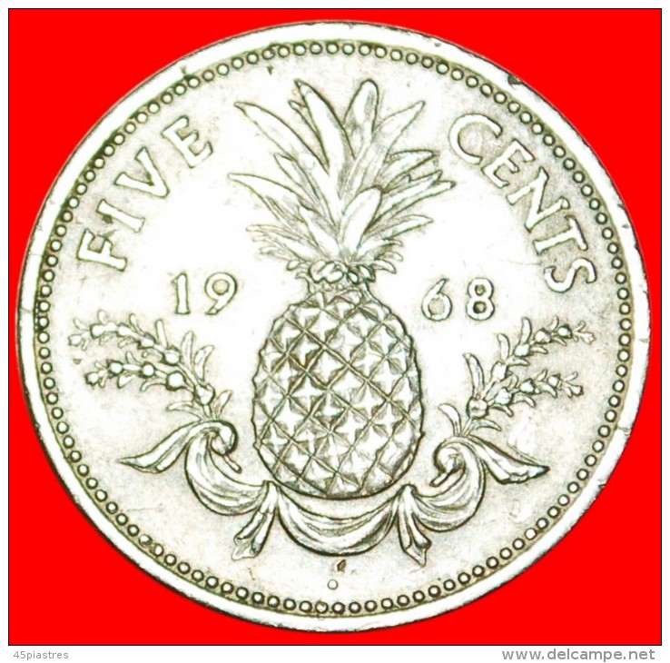 * GREAT BRITAIN (1966-1970): THE BAHAMAS 5 CENTS 1968 PINEAPPLE! ELIZABETH II (1953-2022) LOW START  NO RESERVE! - Bahamas